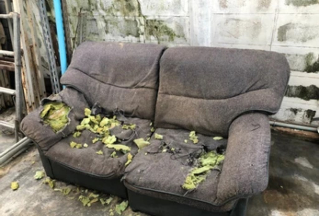 Sofá viejo y muy sucio abandonado en un espacio exterior, con cojines rotos y visibles signos de deterioro, suciedad y humedad.