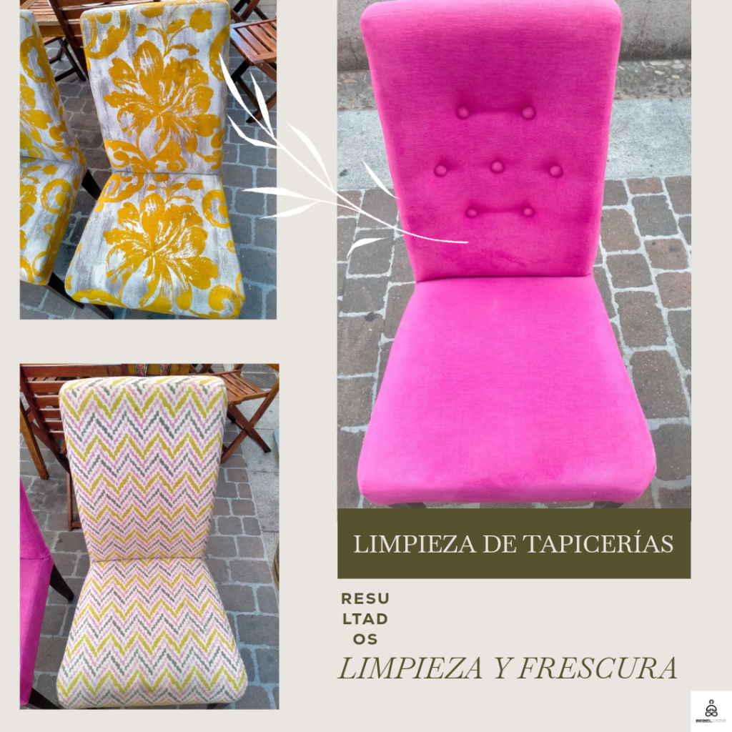 En Lavandería Tintorería Lumbrales también ofrecemos un servicio especializado de limpieza de alfombras, moquetas, sillas tapizadas y sofás, ideal para hoteles, restaurantes, casas rurales y otros espacios públicos.
Este tipo de superficies acumulan fácilmente:
• Ácaros
• Polvo y alérgenos
• Olores persistentes
• Suciedad incrustada por el tránsito constante de clientes
🛏️ En hoteles y alojamientos turísticos, mantener tapicerías y moquetas limpias transmite una imagen de higiene, confort y cuidado por el detalle.
🍽️ En restaurantes, sillas limpias y moquetas libres de manchas mejoran la experiencia del cliente y contribuyen a un entorno más saludable.
✅ Eliminamos alérgenos y bacterias
✅ Reducimos olores y manchas
✅ Usamos productos seguros para niños, mascotas y personas alérgicas
✅ Trabajamos a domicilio, sin interrupciones para tu negocio